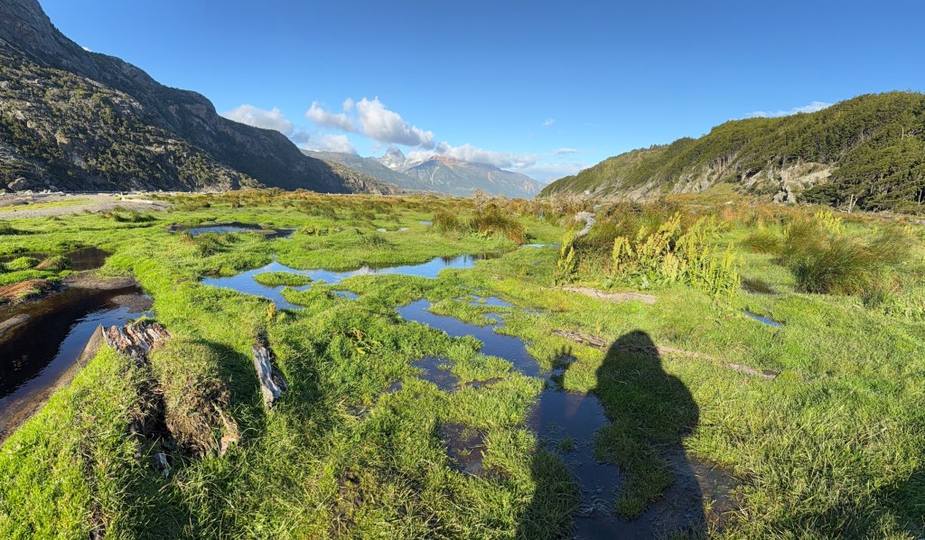 Patagonia! Glaciers, Fjords, & Wildlife Aboard the National Geographic&nbsp;Resolution